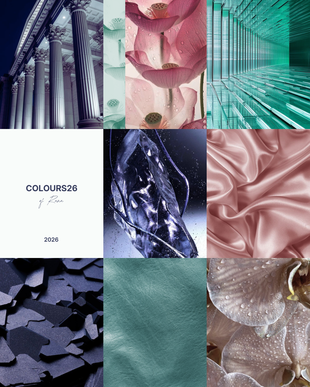 Colours of RANA /2026